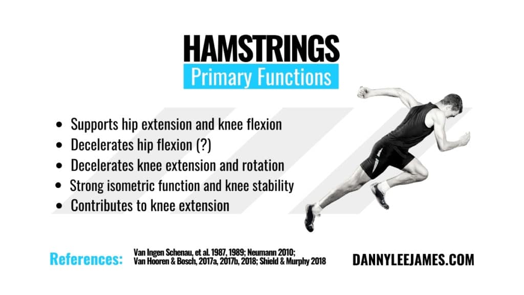 Man sprinting and hamstring function graph