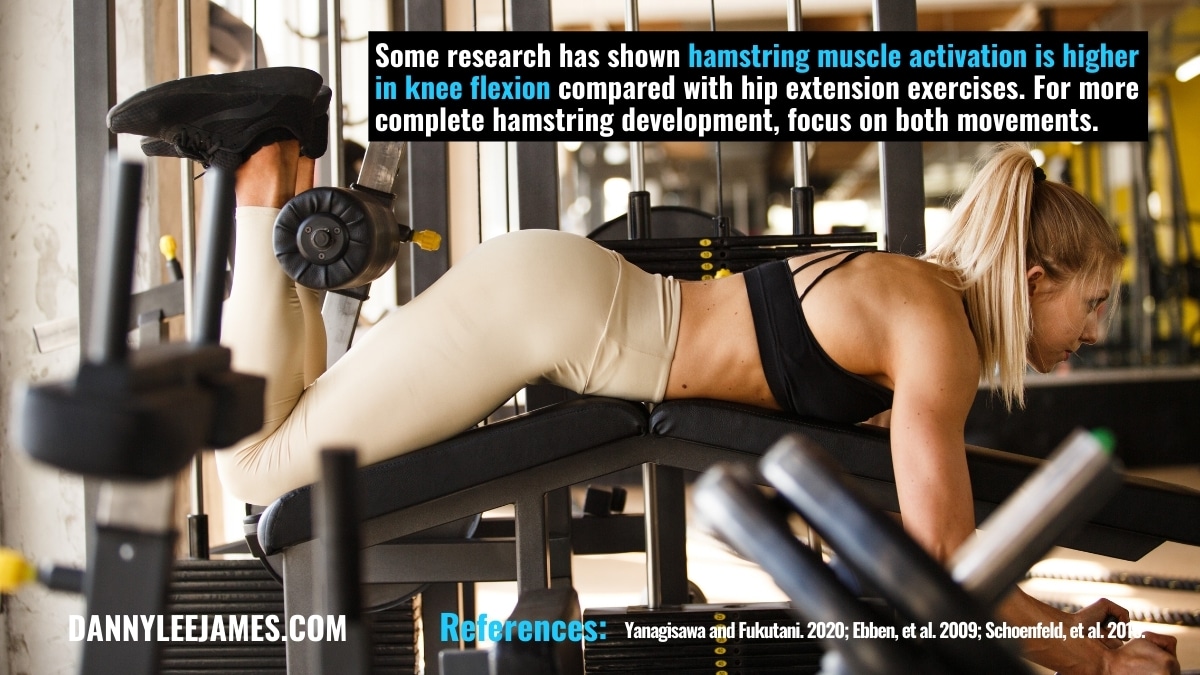Seated Leg Curl Vs Lying Leg Curl For Hamstring Muscle Growth - Danny James