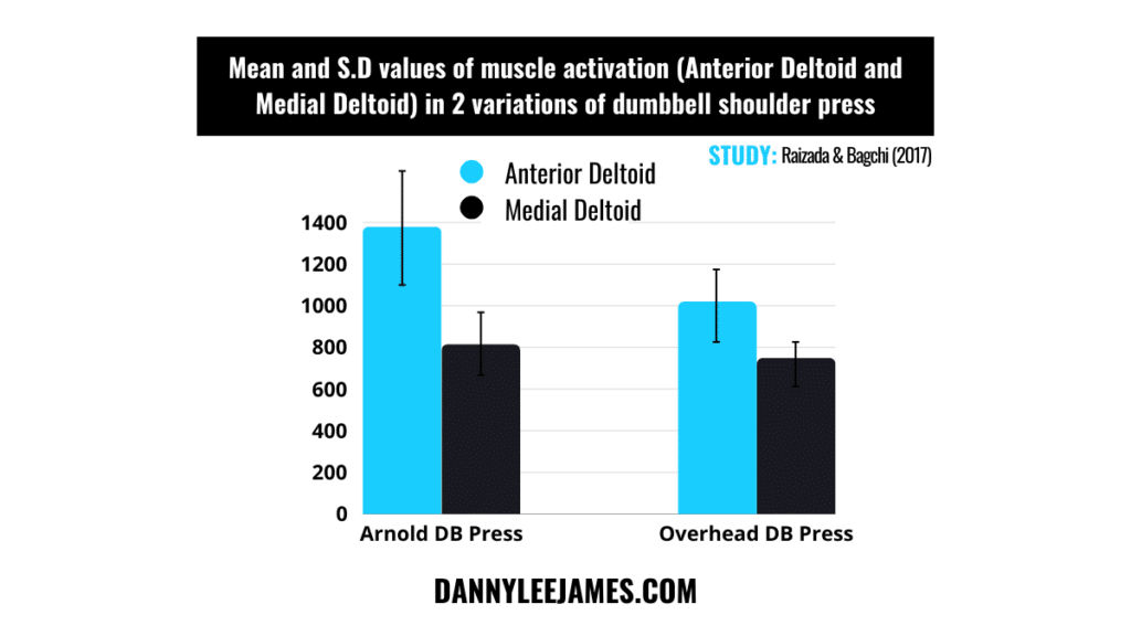 Arnold Press Muscles Worked Research Image