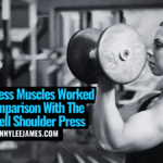 Arnold Press Muscles Worked and Comparison With The Dumbbell Shoulder Press