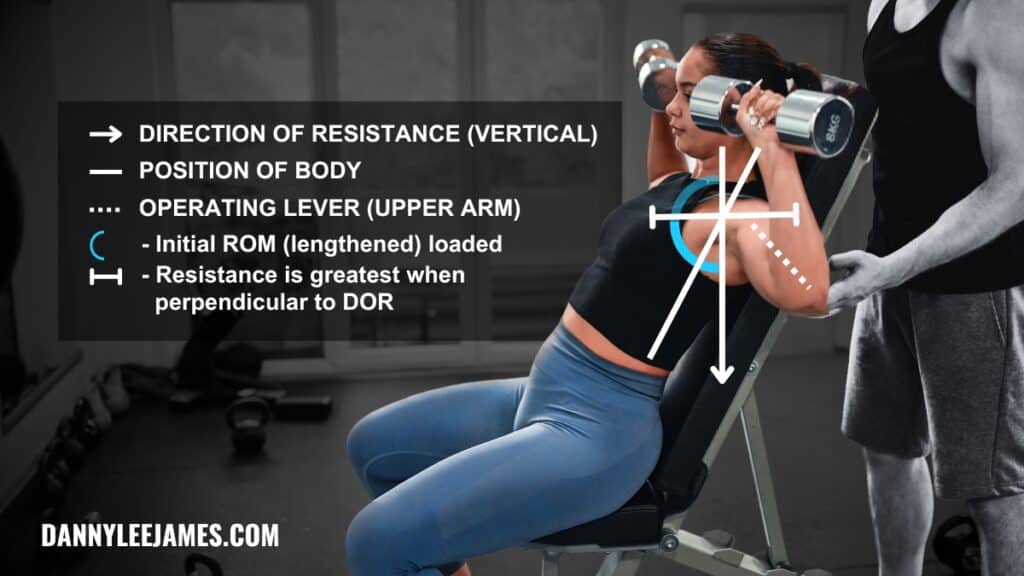 Fit woman performing seated dumbbell shoulder press in gym with direction of resistance image